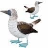 Blue Footed Booby Decor (Set of 2)