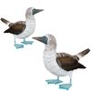 Blue Footed Booby Decor (Set of 2)