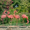 Bright Distressed Pink Iron Flamingos (Set of 4)