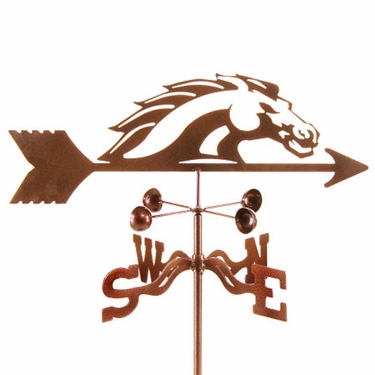 Broncos - Click to enlarge