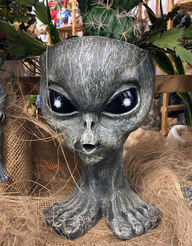 brother-roswell-alien-planter-