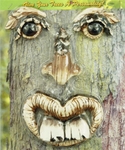 Bucky Tree Face