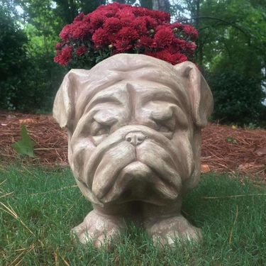 Muggly Bulldog Planter - Stone Wash Finish - Click to enlarge