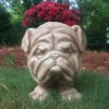 Muggly Bulldog Planter - Stone Wash Finish