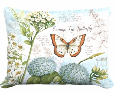 Butterfly Study Outdoor Pillow - Click to enlarge