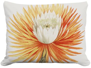 Cactus Blossom Outdoor Pillow - Click to enlarge