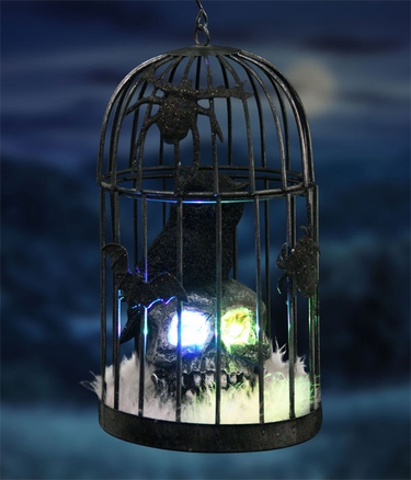 Caged Owl on Skull w/Color Changing LED & Timer - Click to enlarge