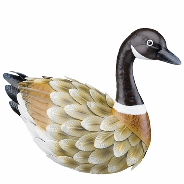 Canadian Goose- Sitting - Click to enlarge
