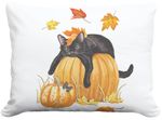 Cat w/Pumpkins Outdoor Pillow