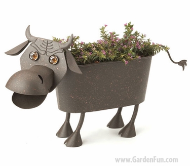 Charles the Bull Planter Decor - Click to enlarge