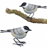 Chickadee Tree Branch Decor (Set of 2)