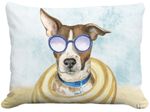 Cool Dog Outdoor Pillow