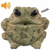 Croaking Toad w/Motion Sensor - Light Natural