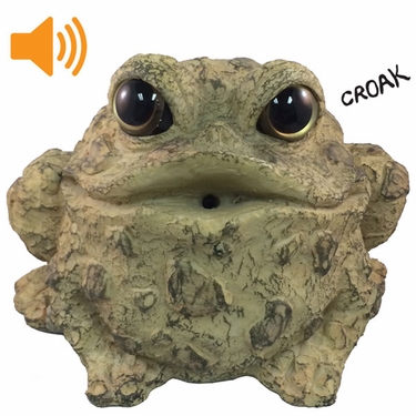 Croaking Toad w/Motion Sensor - Light Natural - Click to enlarge