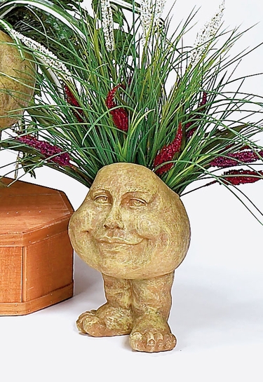 Daisy Face Planter - Click to enlarge