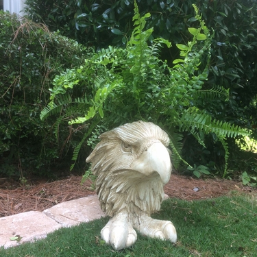 Eagle Mascot Planter - Antique Finish - Click to enlarge