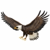 Eagle Wall Decor