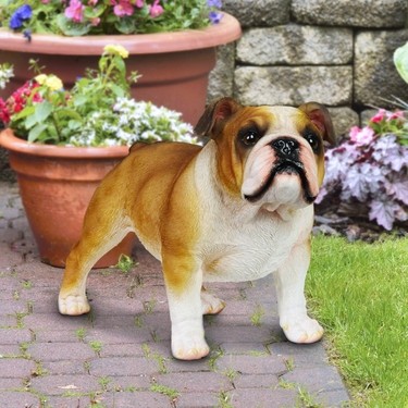 English Bulldog Statue - Click to enlarge