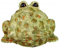 Extra Large Buddha Toad - Light Natural - Click to enlarge