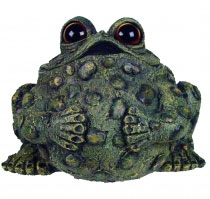 Extra Large Buddha Toad - Dark Natural - Click to enlarge