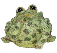 Extra Large Dreamer Toad - Light Natural - Click to enlarge