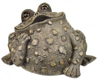 Extra Large Dreamer Toad - Dark Natural - Click to enlarge