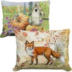 Fall Pillows & Thanksgiving Pillows