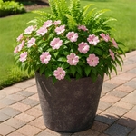 Faux Bark Dark Gray Planter (Set of 4)