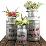 Galvanized Old Style Milk Jugs (Set of 3) - Red