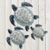 Galvanized Sea Turtle Wall Decor (Set of 3)