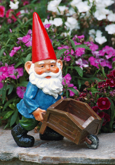 Garden Gnome with Wheelbarrow - Click to enlarge