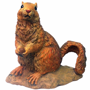 Garden Squirrel - 10