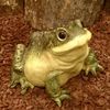 Garden Toad Statue