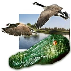 Gator Guard by Bird-X - Click to enlarge