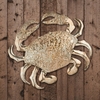 Gold Textured Crab Wall Decor (Set of 2)