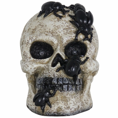 Insect Infested Skull w/Color Changing LED Eyes - Click to enlarge