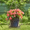 Iron Basket "1968 Paris" Planters (Set of 2) - Antique Bronze