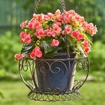 Iron Basket "1968 Paris" Planters (Set of 2) - Antique Bronze Iron Basket "1968 Paris" Planters (Set of 2) - Antique Bronze