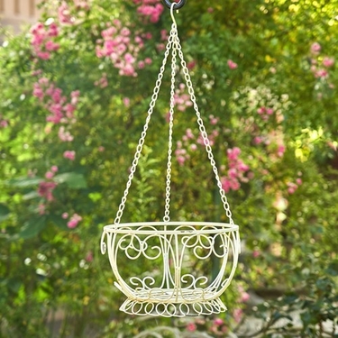 Iron Basket 