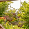 Iron Wire Hanging Baskets (Set of 2) - Antique Bronze