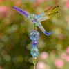 22" Dragonfly 5-Tone Pot Stakes (Set of 6)