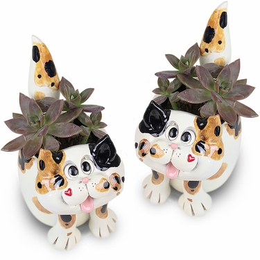 Kitten Planters (Set of 2) - Click to enlarge