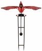 Large Cardinal Rocker