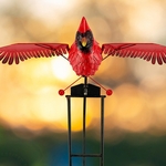 Large Cardinal Rocker Stake
