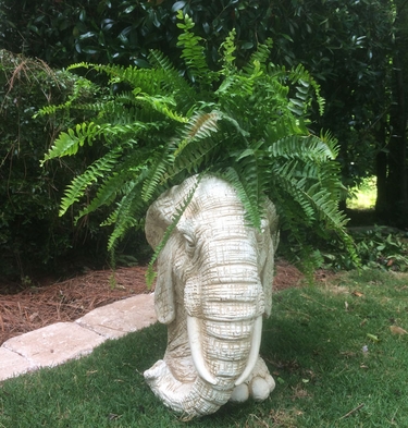 Large Elephant Planter - Antique Finish - Click to enlarge