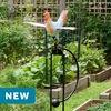 Large Farmhouse Hen Rocker Stake