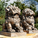 Large Foo Dog Statues (Set of 2) - Antique Bronze