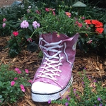 High Top Sneaker Planter - Pink