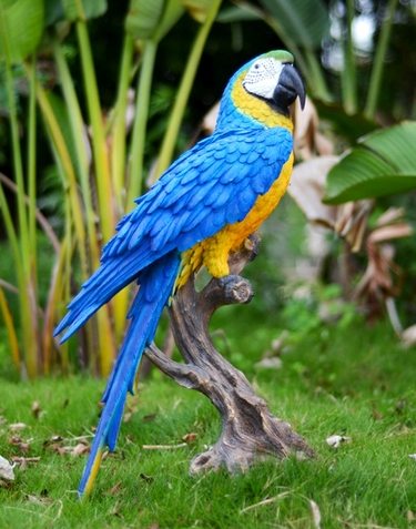 Large Macaw Statue - Blue/Yellow - Click to enlarge