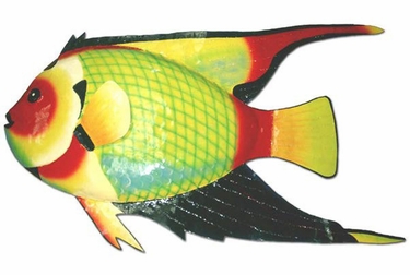Large Queen Angel Fish Decor - Click to enlarge